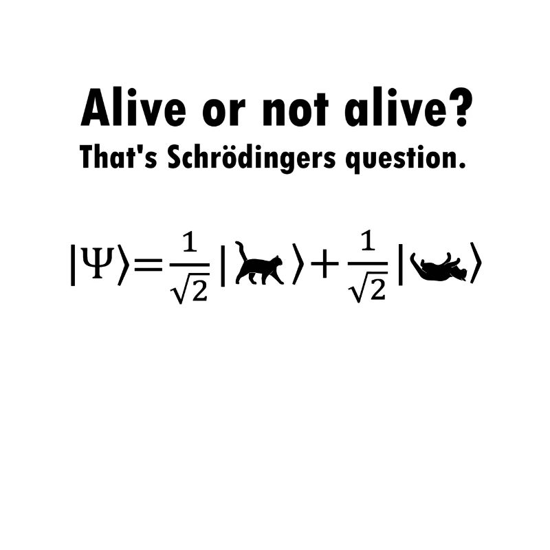 Schrödinger's Cat - Physicist Gift Physics Nerd