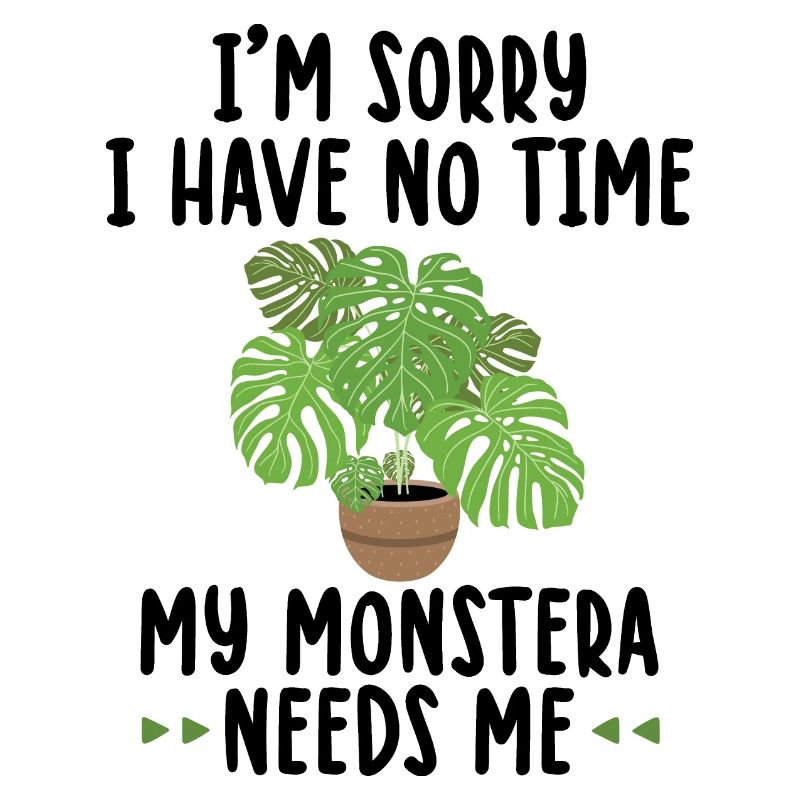 Monstera