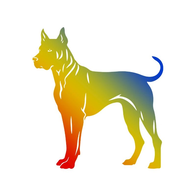 Chien Dogue Argentin
