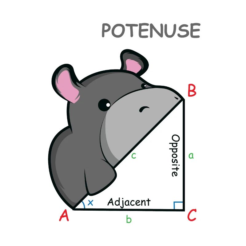 Hippopotenuse Mathe-Genie Geschenk
