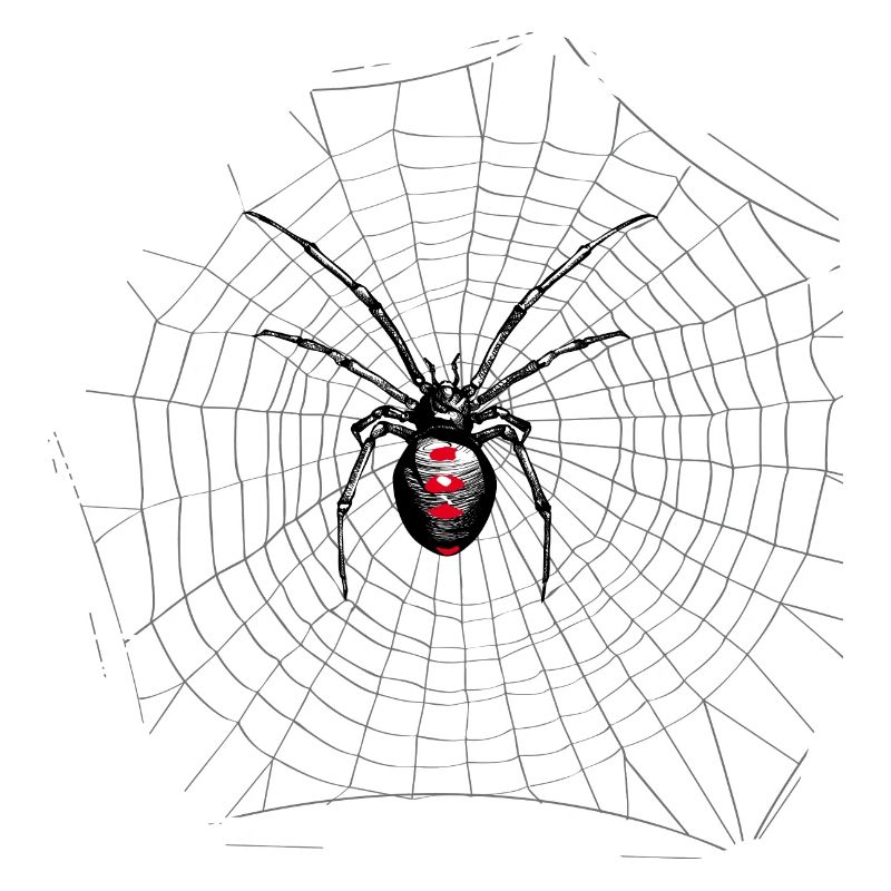 Spinnennetz