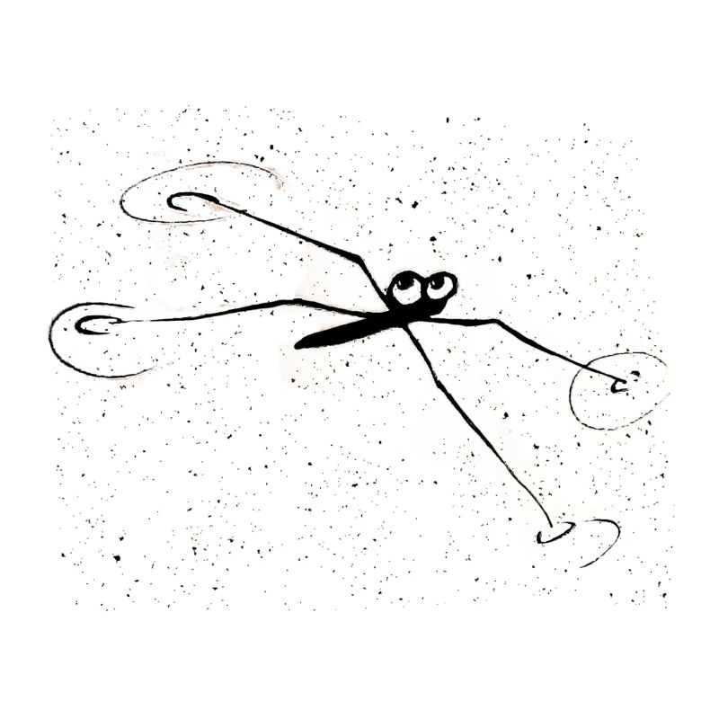 Araignée d'eau drôle d'animal
