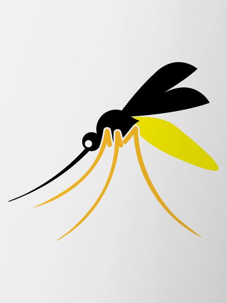 Mosquito