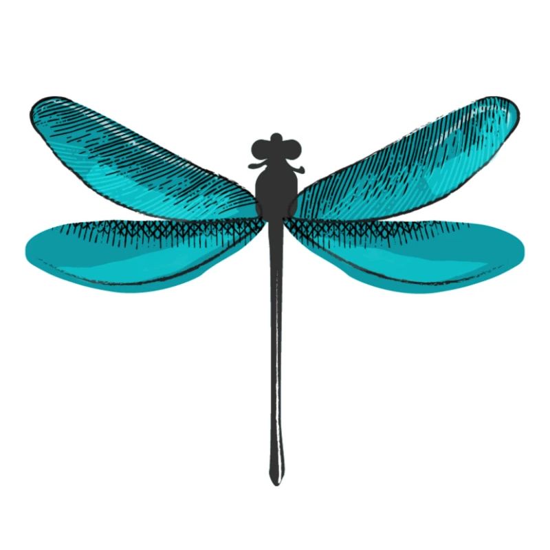 libellule