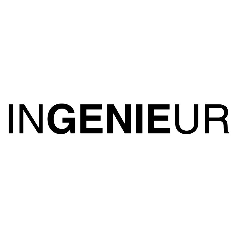 ingenieur 01