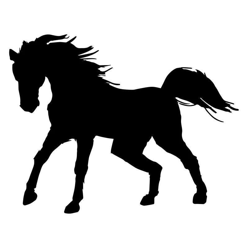 Ombre de cheval