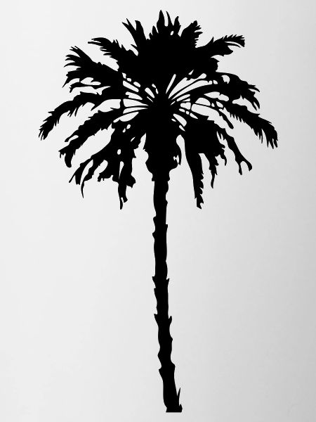 Palm Silhouette Symbol