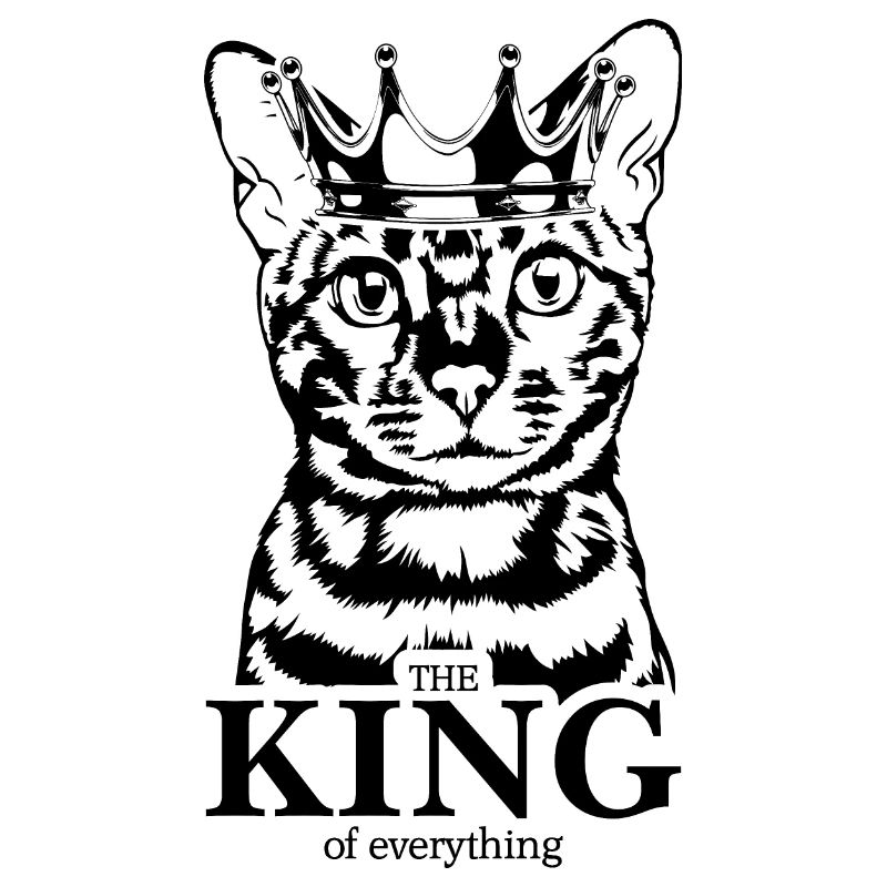 Bengal Katze King of everything Katzenspruch Katze