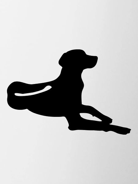 Rhodesian Ridgeback - liegend