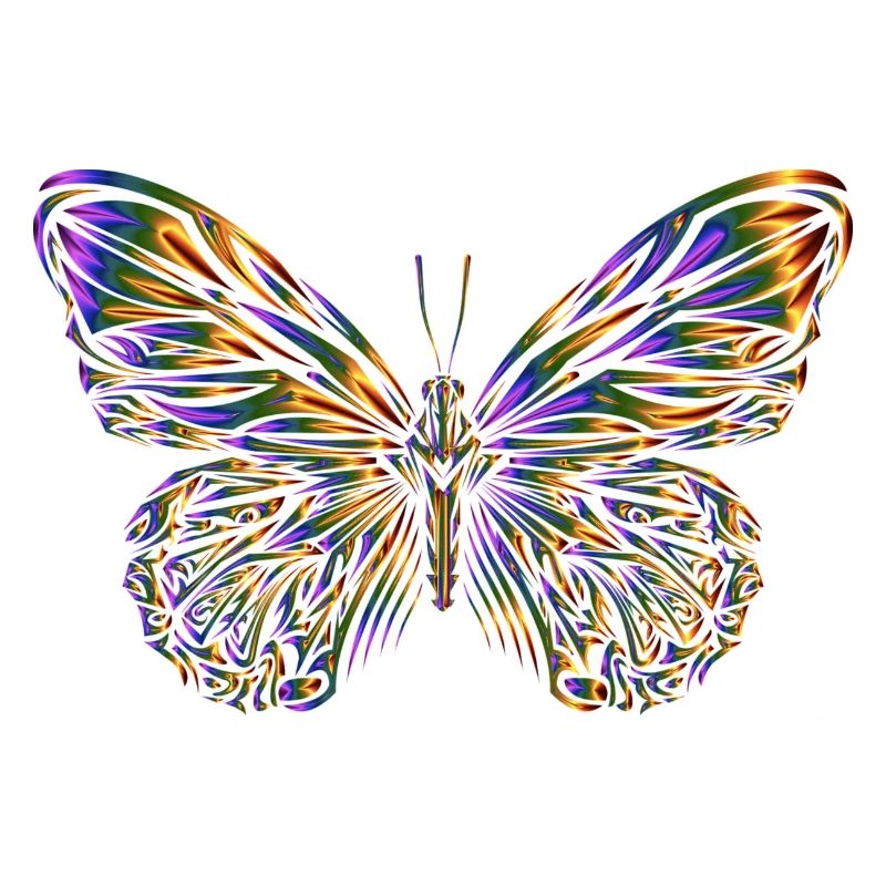 Papillon, papillon