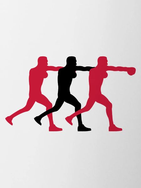 boxer