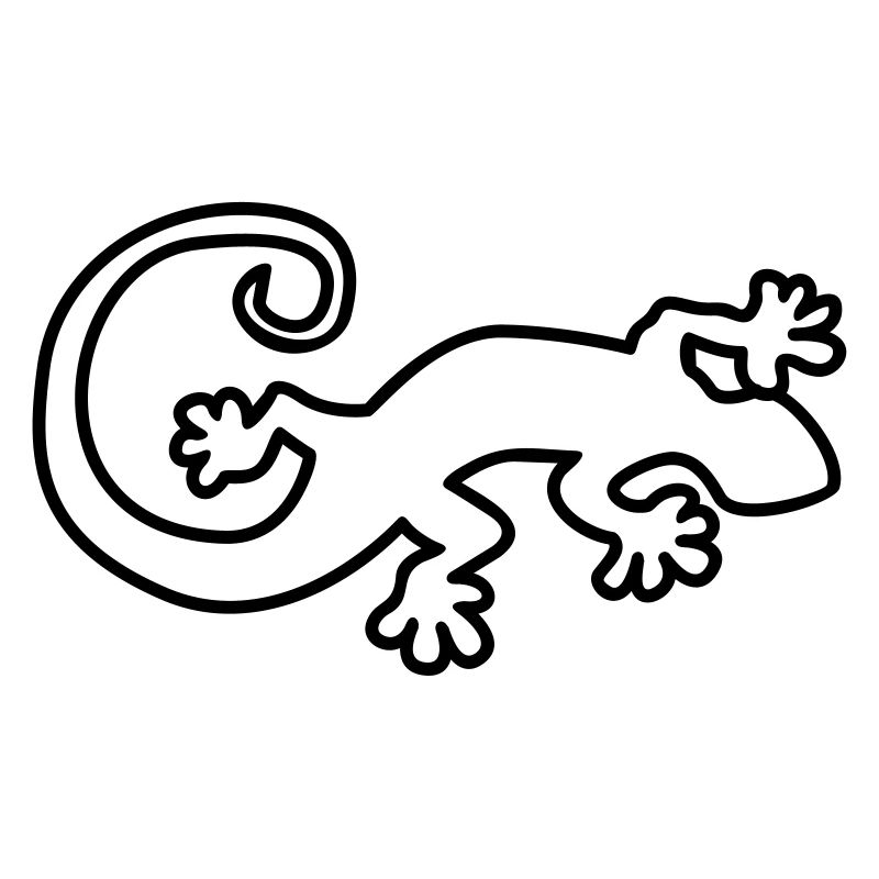 geko
