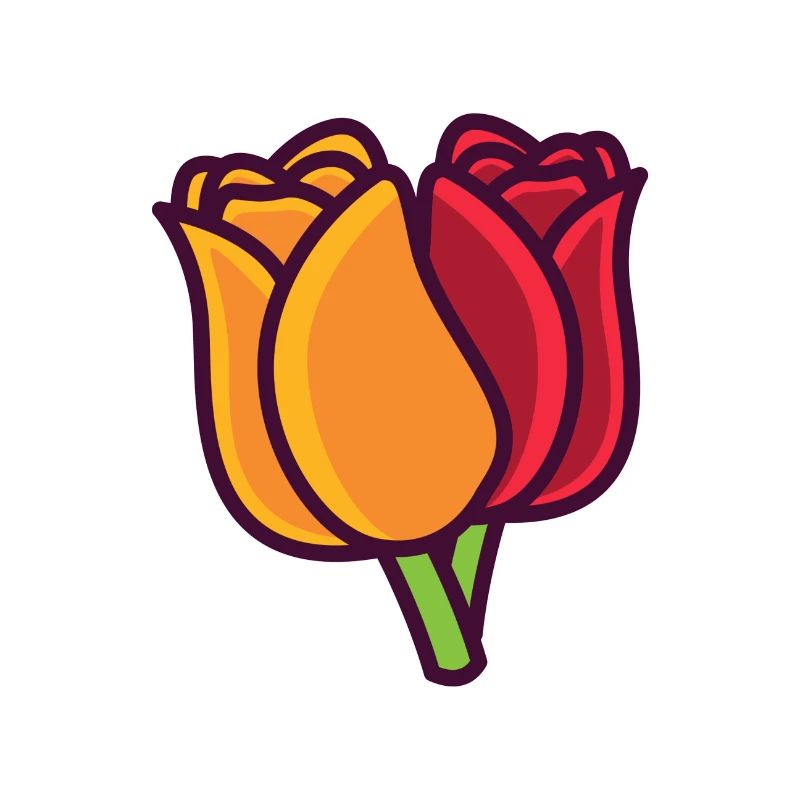 Tulipe