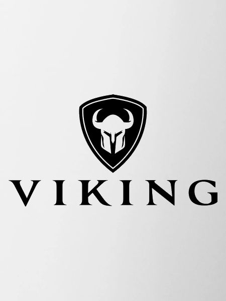 Viking shield