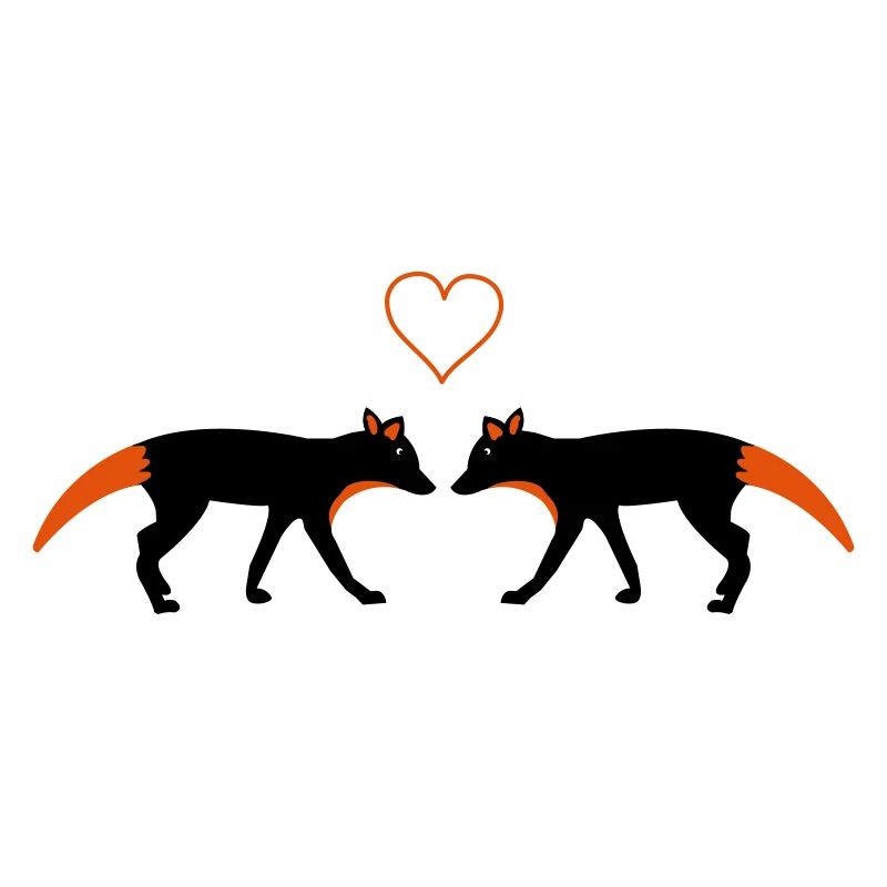 Renards amoureux