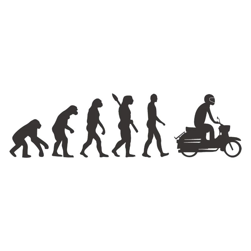Simson Schwalbe Evolution schwarz