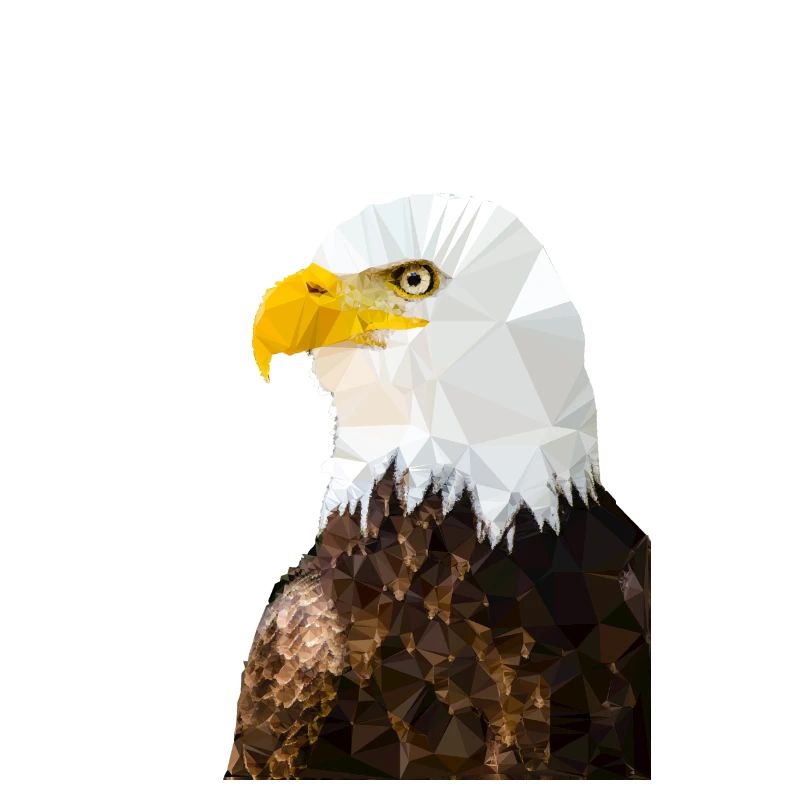 Bald eagle in low poly style