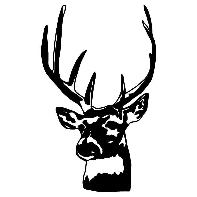 Cerf bois bois chasse