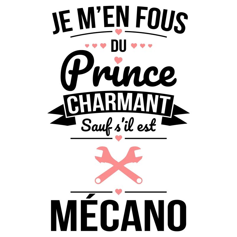 Fous du prince charmant sauf s'il est mécano