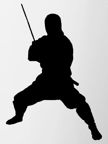 Ninja