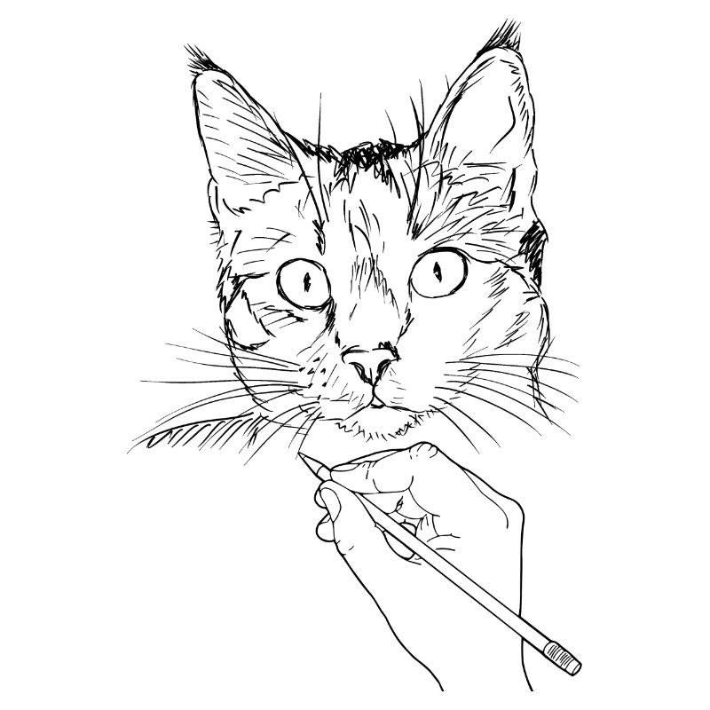 Dessin de chat