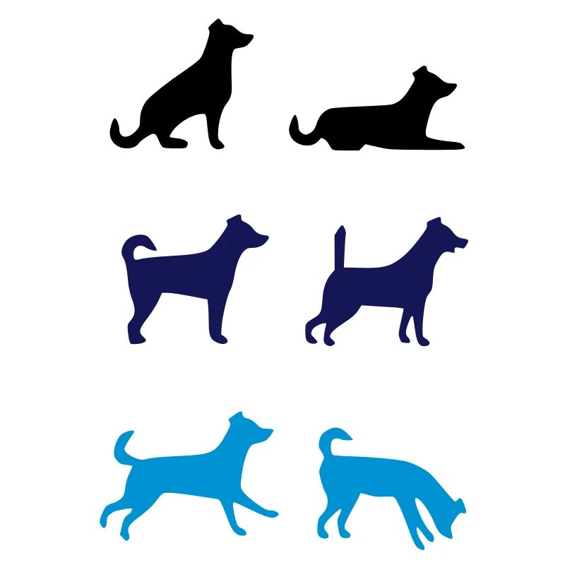 6 chiens