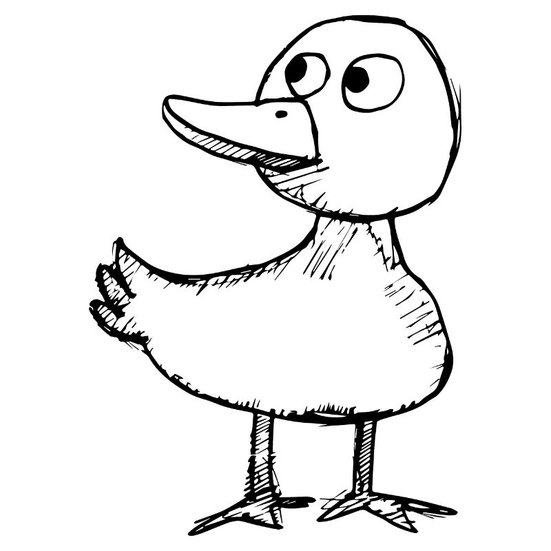 Duck Ducks