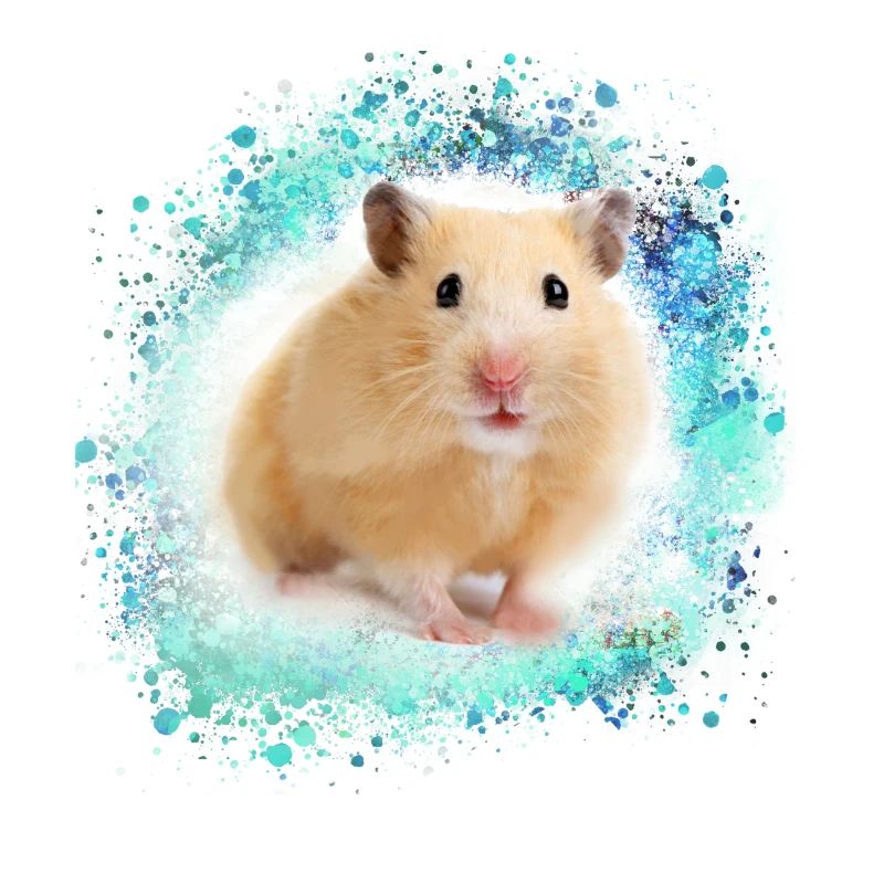 hamster, graffiti, peinture, vert, bleu