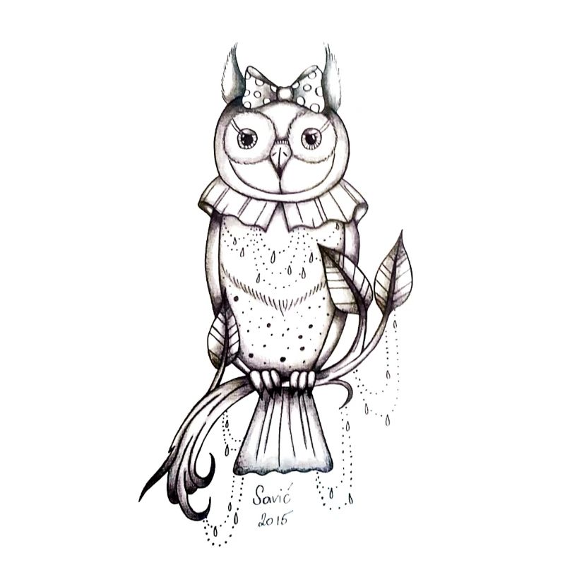 owl