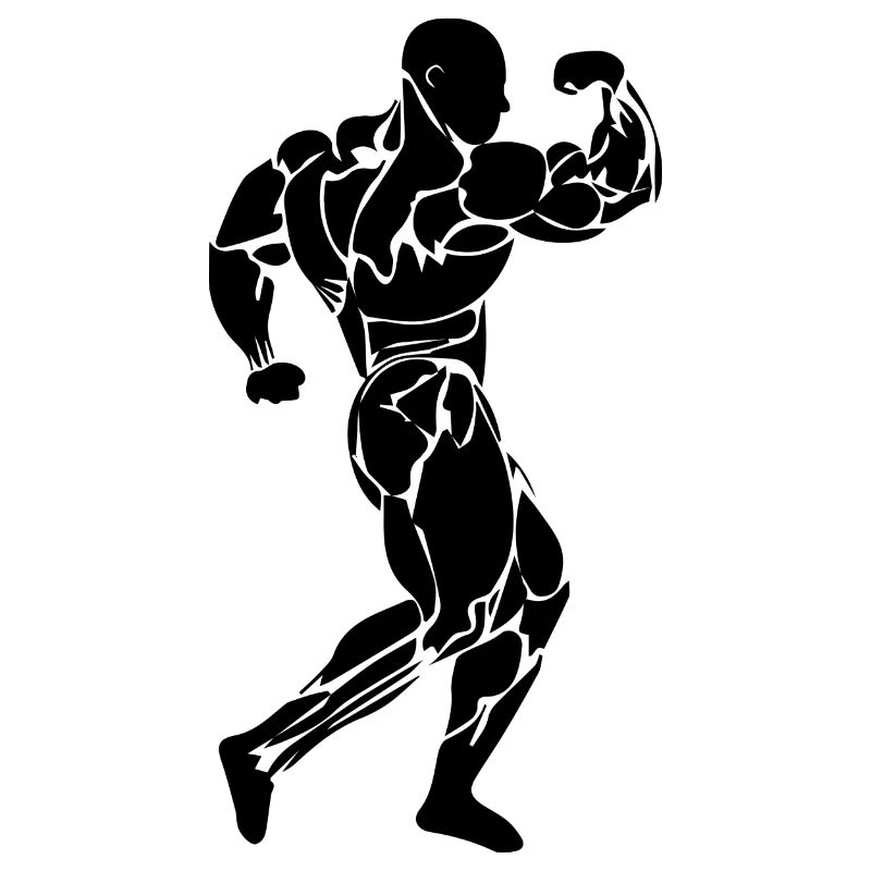 Musculation