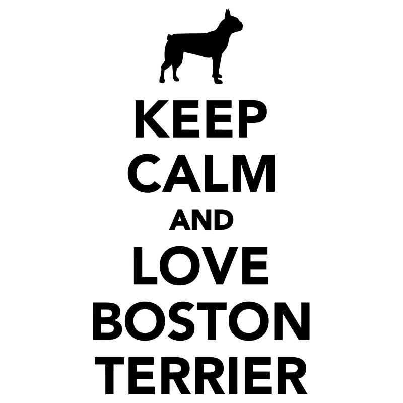 Boston Terrier