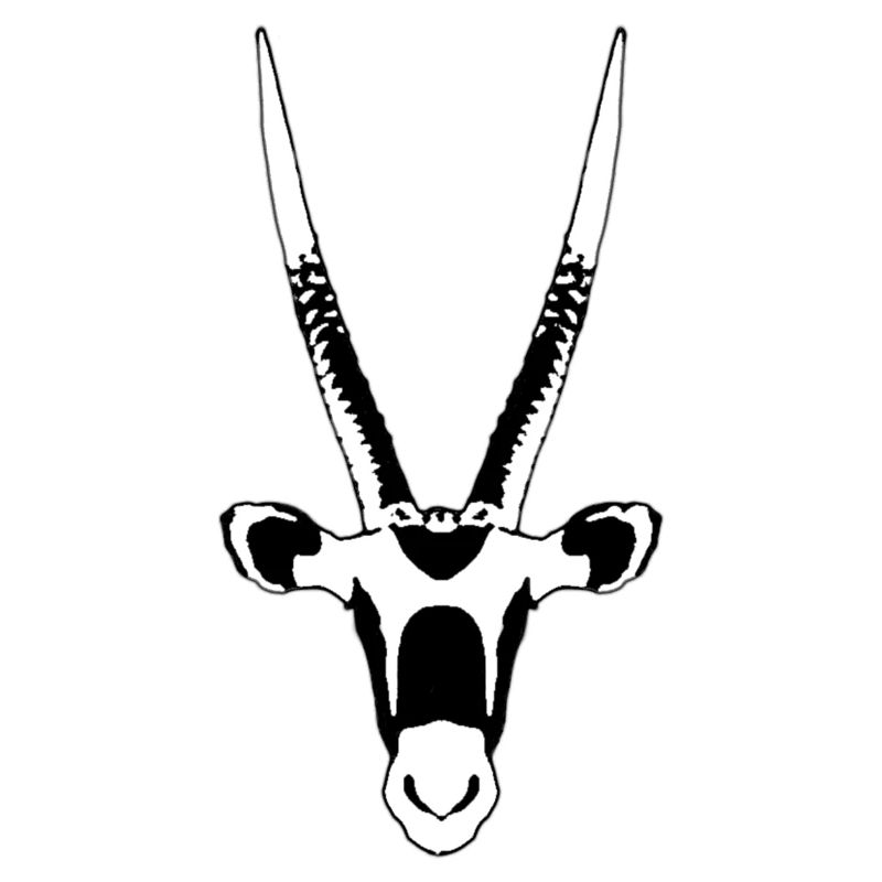 Oryx Antilope