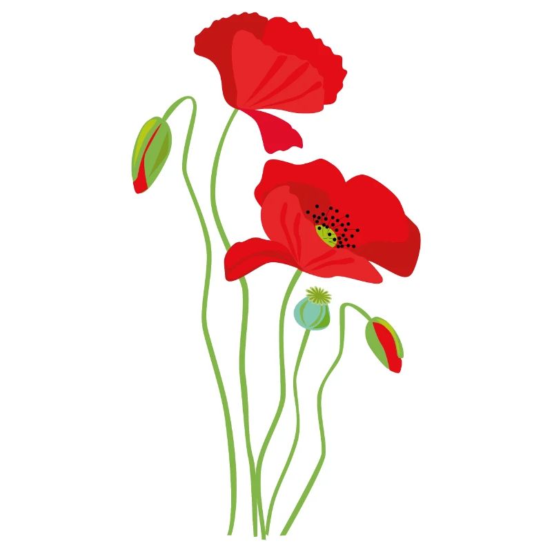 Coquelicot - conception de fleurs