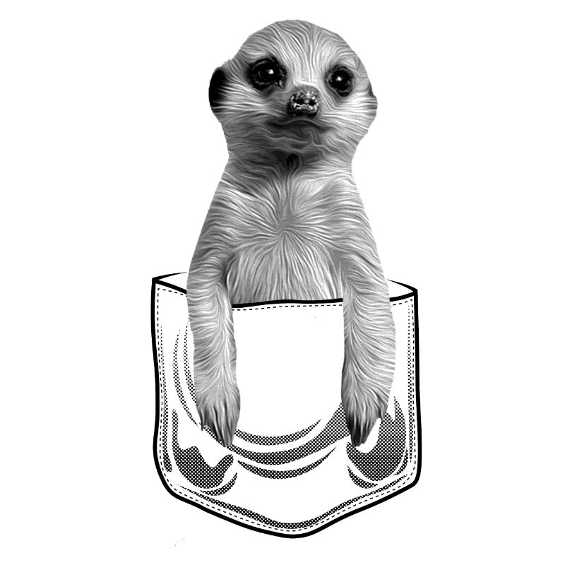 Bébé suricate en poche