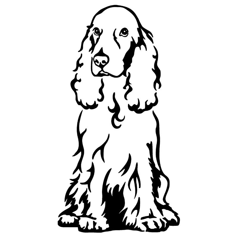 Cocker Spaniel