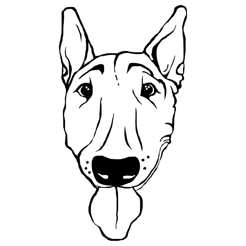 Bullterrier