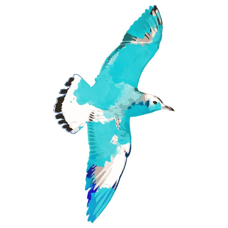 Mouette, illustration, vol, oiseaux, bleu, graffiti