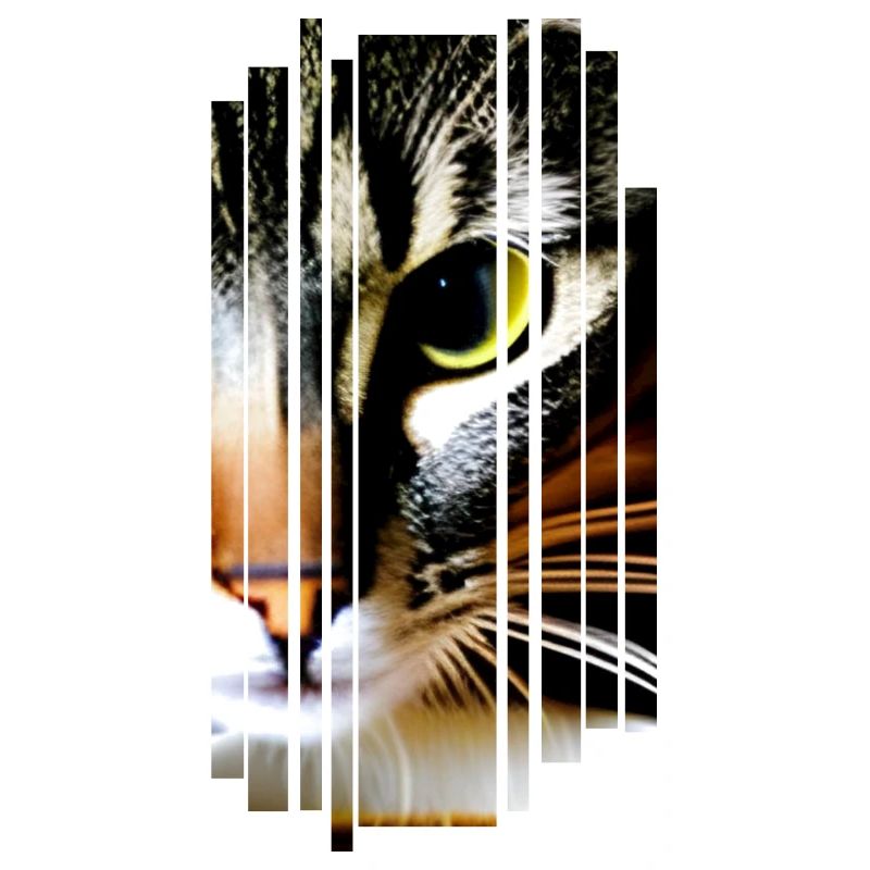 Chats