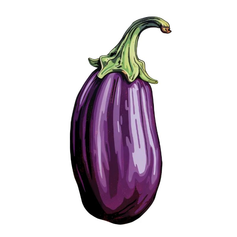 Aubergine allongée