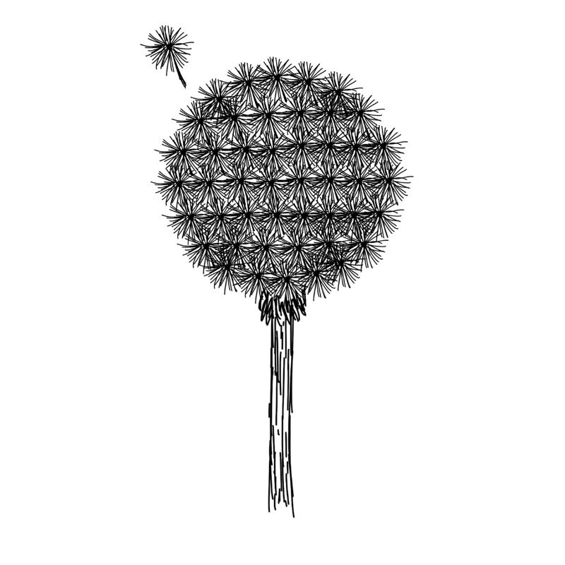 Pusteblume