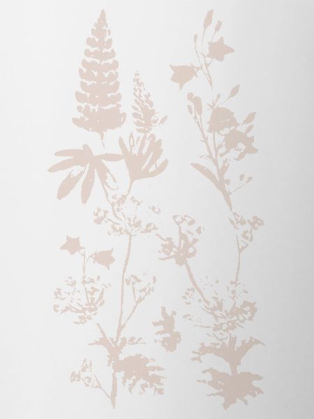 WIESENPFLANZEN