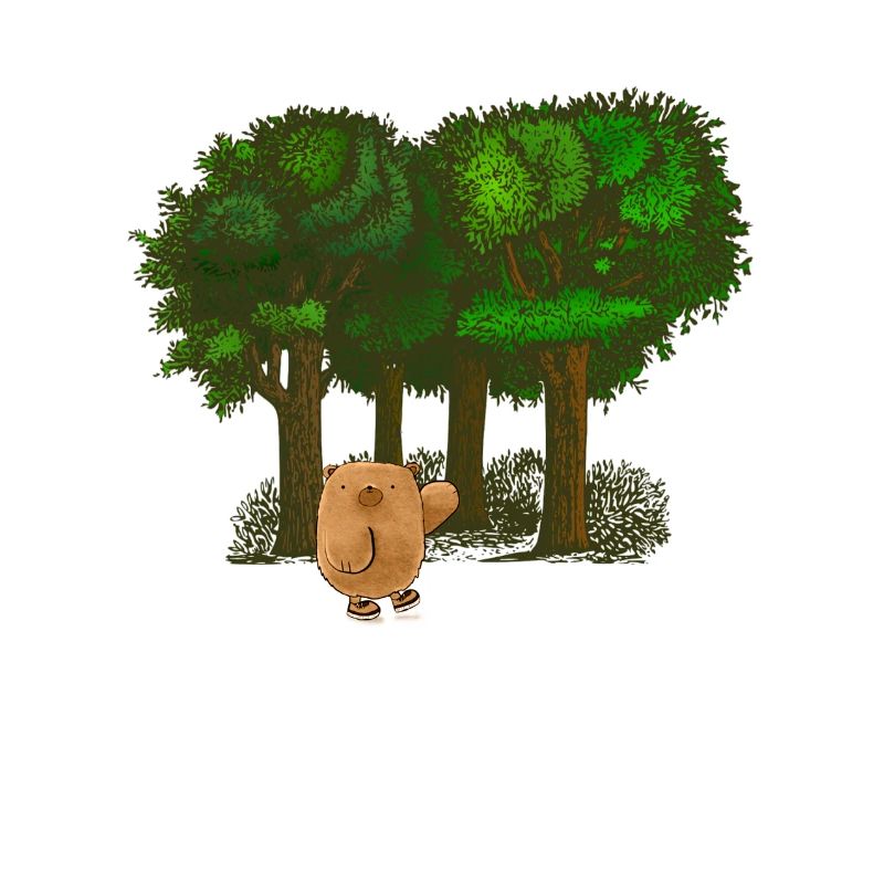 Ours doux dans la forêt