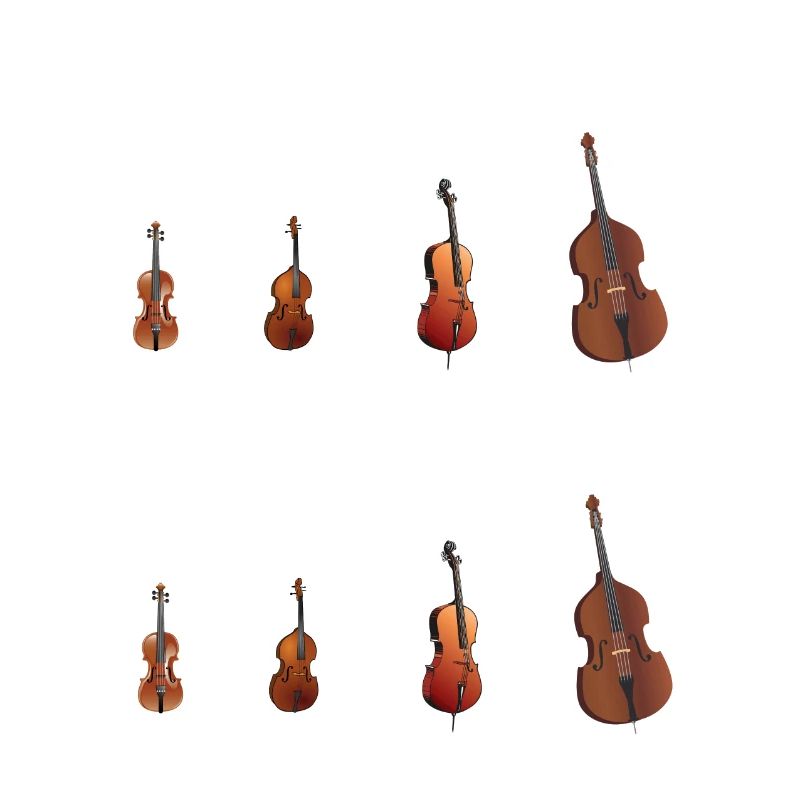 String Section City Conductor Gift