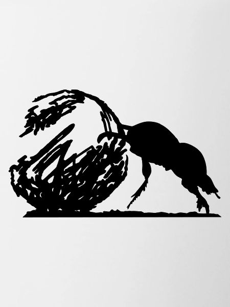 Dung Beetle