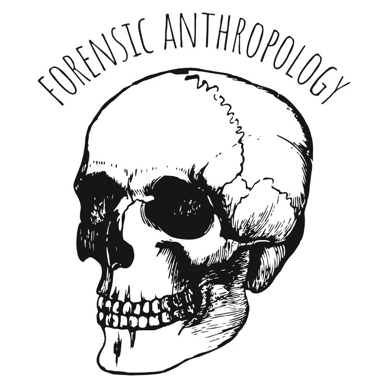 forensic anthropology