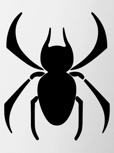 Spinne