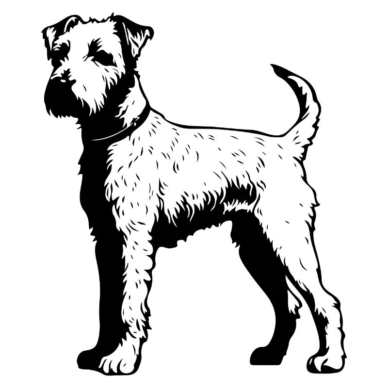 Chien Airedale Terrier