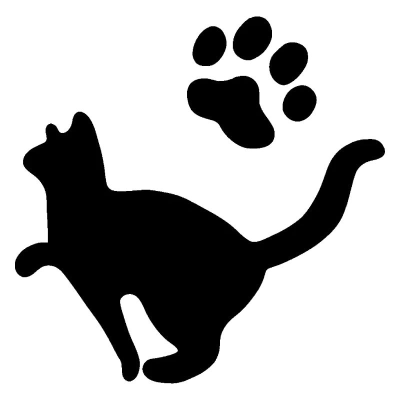 Cat Cat Pet