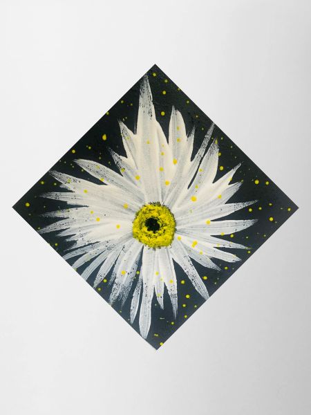 Edelweiss-black-white design