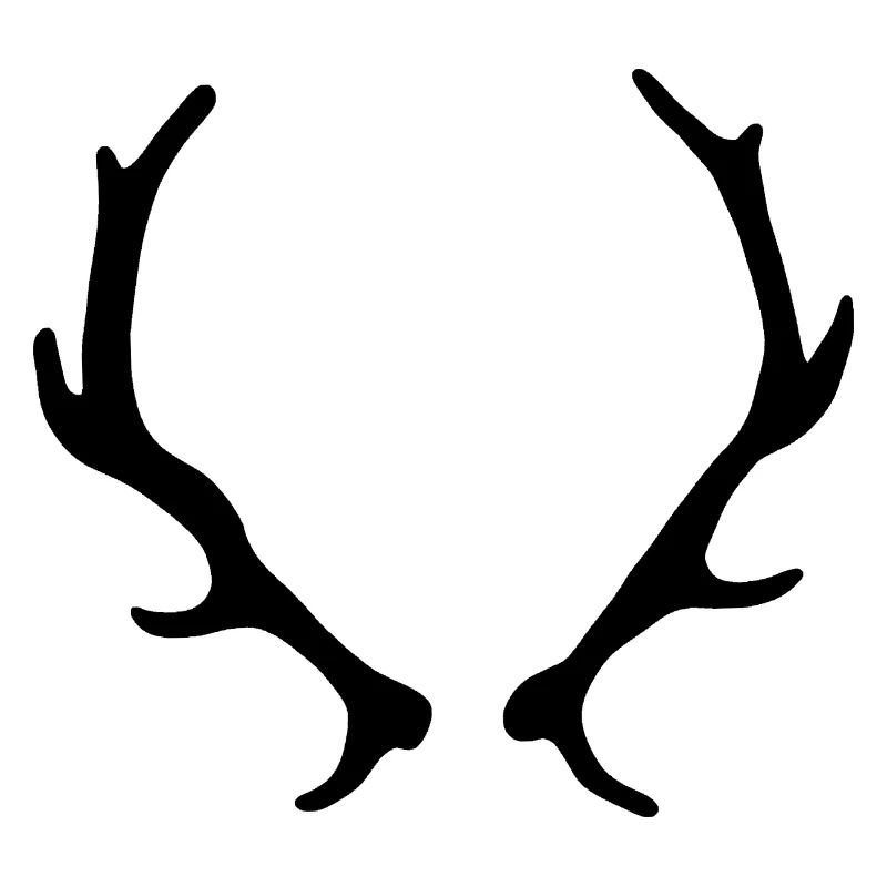 Geweih Jagd Wild